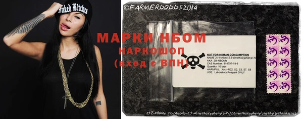 мяу мяу мука Чегем