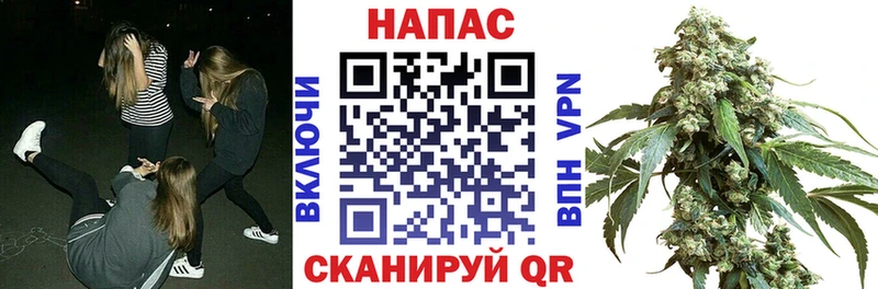 Канабис семена  Купить где  Александровск 